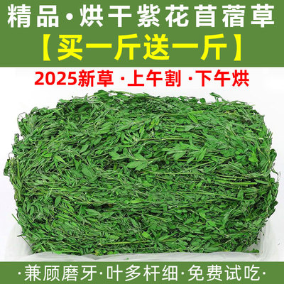 25年新紫花苜蓿草龙猫荷兰猪兔子食用草兔粮饲料宠物粮食主粮牧草