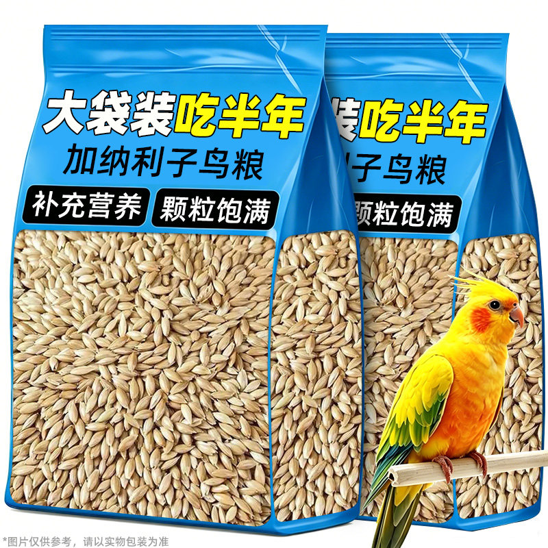 【董宇辉力荐】鸟粮饲料加纳利子