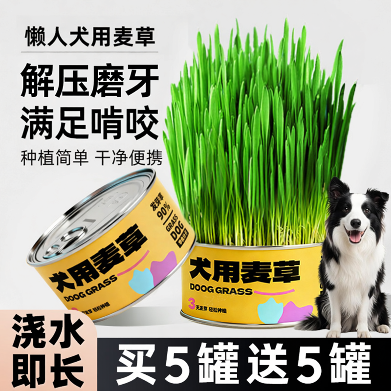 犬草吃的好主子生病少