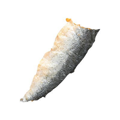 整张三文鱼皮猫狗通用宠物磨牙棒