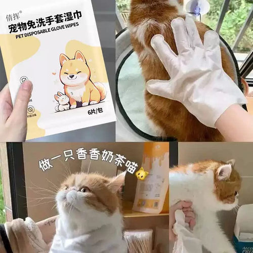 宠物免洗手套湿巾清洁除臭