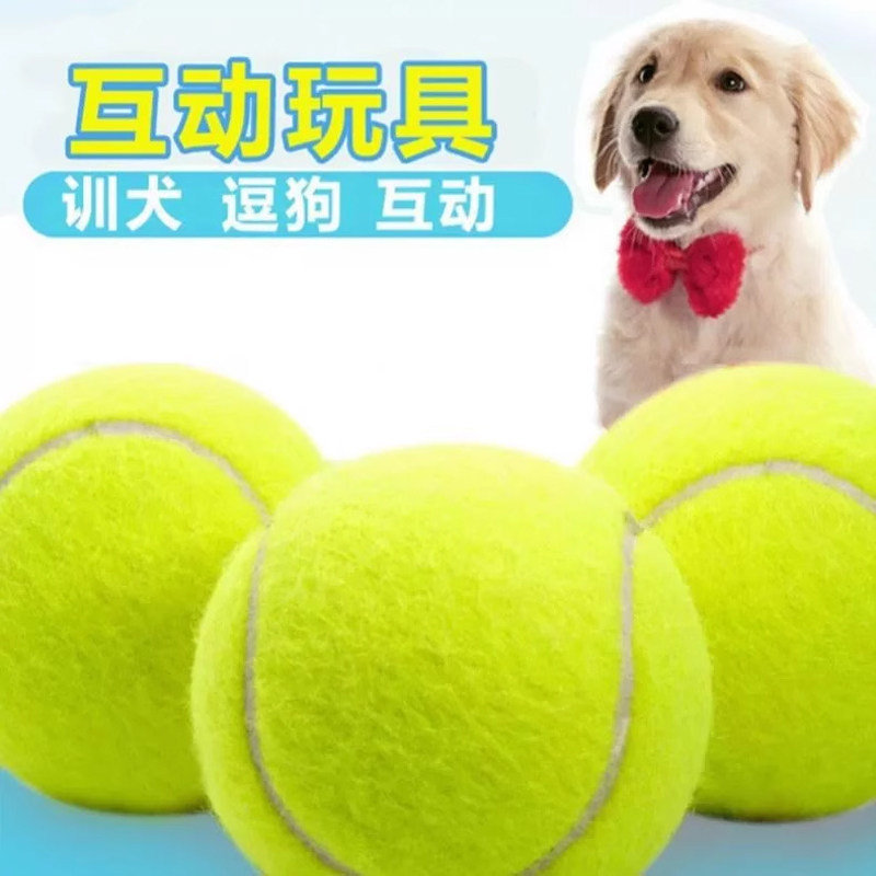 狗狗玩具球逗狗遛狗訓犬專用耐咬
