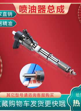 喷油器总成0445110860 电控高压共轨4缸柴油机110系列 ZYJGA24S28