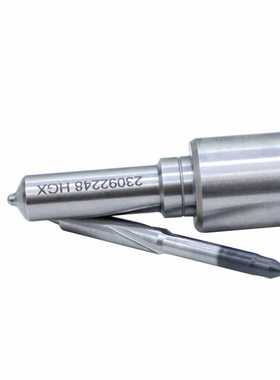 L096PBD L076PBD L194PBC L025PBC L221PBC德尔福柴油喷油嘴总成