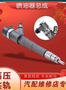 喷油器总成0445110486 电控高压共轨4缸柴油机110系列 ZYJGA24S28