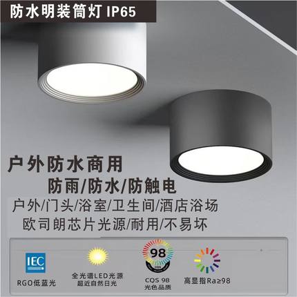 防水明装筒灯户外室外阳台店铺门头酒店雨棚露台吸顶筒灯IP65射灯