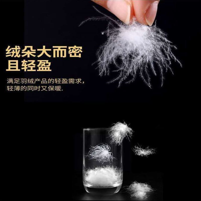一斤装散装羽绒90%白鸭绒鹅绒大朵原料羽绒被服枕芯填充物羽绒毛