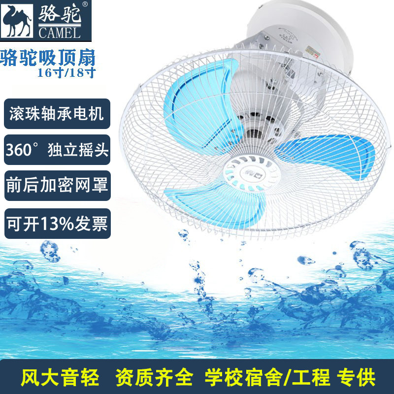 骆驼吸顶电风扇360度摇头静音圆转扇学校宿舍工程FD7-40楼顶扇36V