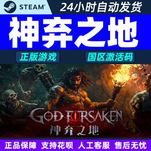 FORSAKEN GOD 国区激活码 CDKey 游戏 steam激活码 PC正版 神弃之地