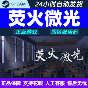pc中文 正版steam游戏 荧火微光 CDKey激活码