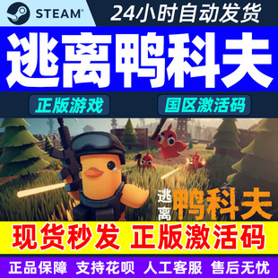 from Duckov 国区激活码 steam游戏 PC正版 Escape CDK 逃离鸭科夫