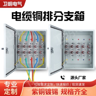 矿物质电缆T接箱低压楼层分支箱接线端子分接箱BTTZ绝缘转换箱