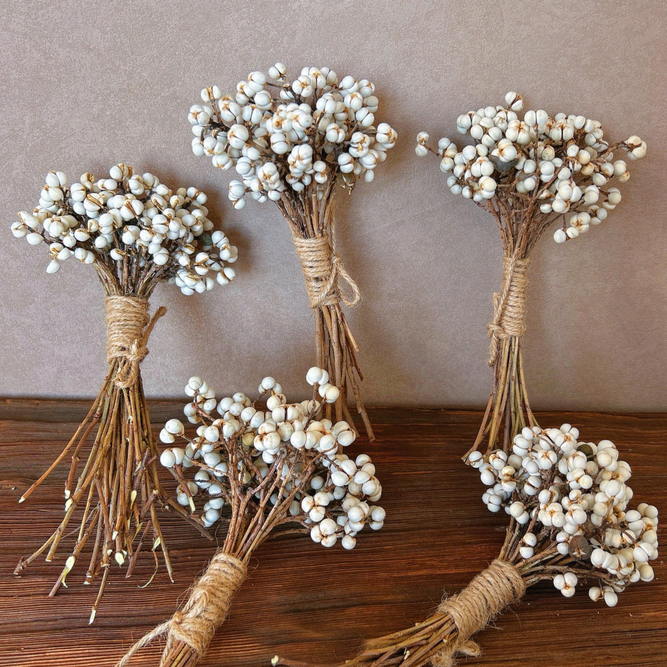 天然小白果乌桕果真花干花花束侘寂家居插花装饰手工diy干果材料
