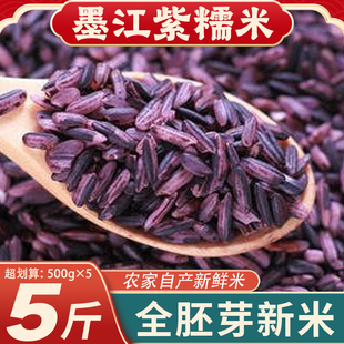 云南墨江紫糯米25年新米5斤紫米血糯米粘米饭团煮粥粗粮五谷杂粮