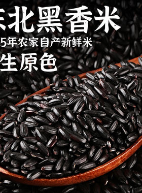 东北黑米25年农家新米黑香米自种五谷杂粮糙米粗粮饭团粥原料