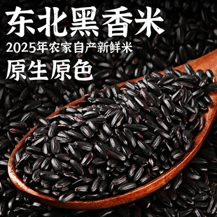 东北黑米25年农家新米黑香米自种五谷杂粮糙米粗粮饭团粥原料