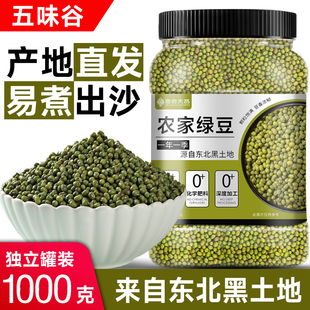 精选东北绿豆新货家用新鲜绿豆汤可发芽批发农家杂粮豆类