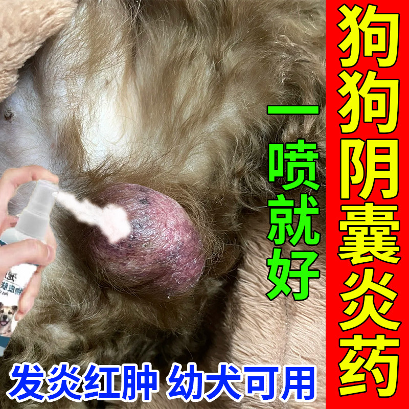 狗狗阴囊炎专用药蛋蛋发炎红肿溃烂流脓消炎杀菌绝育恢复消炎喷雾