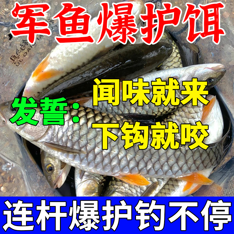 军鱼饵料主攻黄娟鱼小药野钓黑坑军鱼专用饵料诱鱼剂强力爆护鱼食