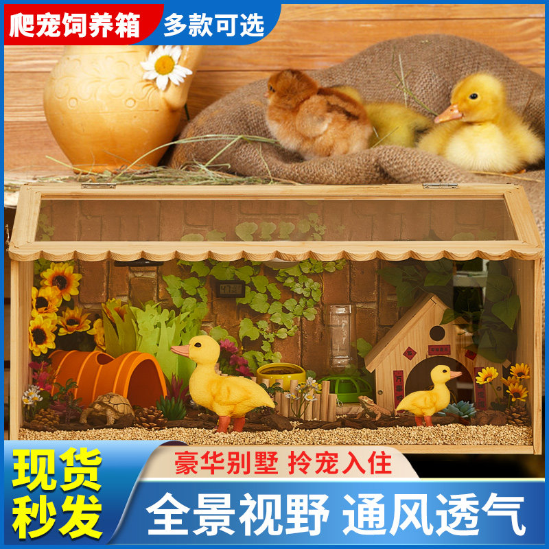 柯尔鸭专用饲养箱养鸭子笼子宠物鸭笼小鸭育雏箱家用造景豪华别墅