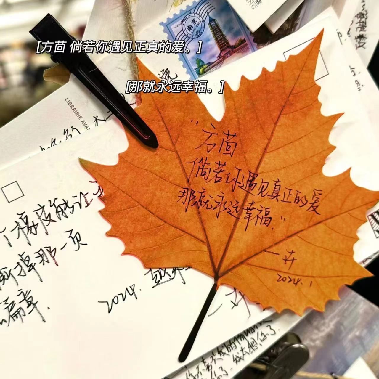 小红书同款红枫叶便签纸50张一本