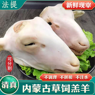 清真内蒙古草原生羊头整只生羊肉新鲜全羊头生鲜冷冻卤带皮羊脸
