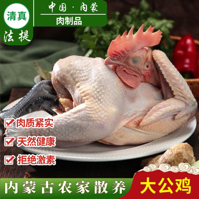 清真草饲生鲜大公鸡内蒙鸡处理好