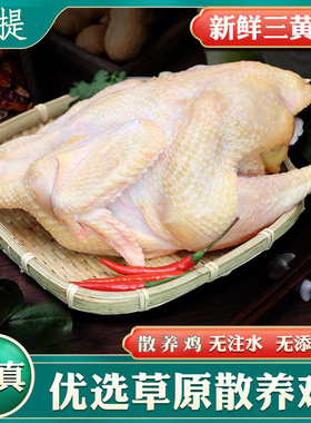 清真内蒙农家农家鸡新鲜整鸡生鲜冷冻整只三黄鸡冰冻全鸡处理干净