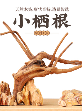 承颜自然风化沉木枯木树根木雕杜鹃木插花微景观鱼缸造景木头摆件