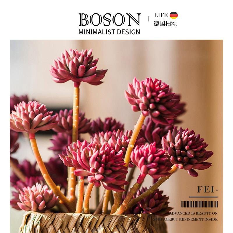 BOSON·Fei·仿真花多肉植物石竹装饰摆件客厅花束绿植造景 |绯簇