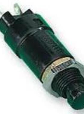 进口 按钮开关C1353VQ0/1GRN原装优势热卖 旺旺询价