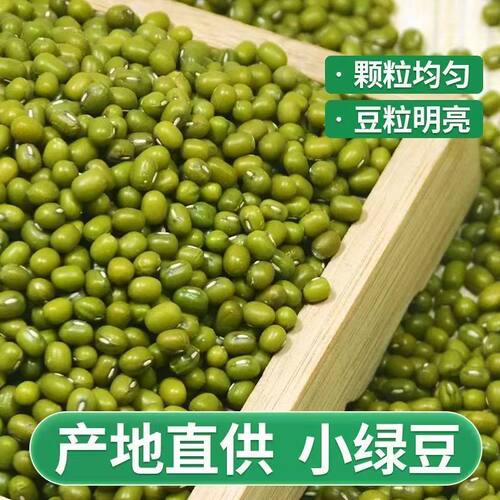 新货绿豆农家五谷杂粮解暑绿豆汤