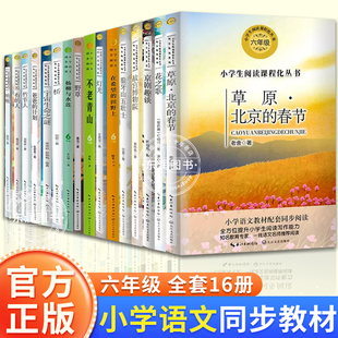 六年级上册必读的课外书小学语文同步阅读老师推荐爱的教育草原北京的春节竹节人花之歌会走路的梦铁凝散文集京剧趣谈丁香结呐喊