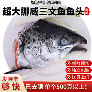挪威进口冰鲜三文鱼鱼头去腮超大个头正宗大西洋鲑鱼煎烤三文鱼头