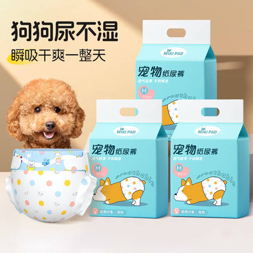 狗狗纸尿裤瞬吸干爽舒适透气