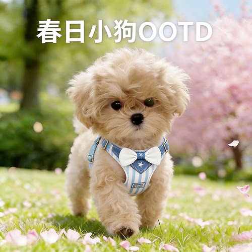 超轻一片式小型犬专用