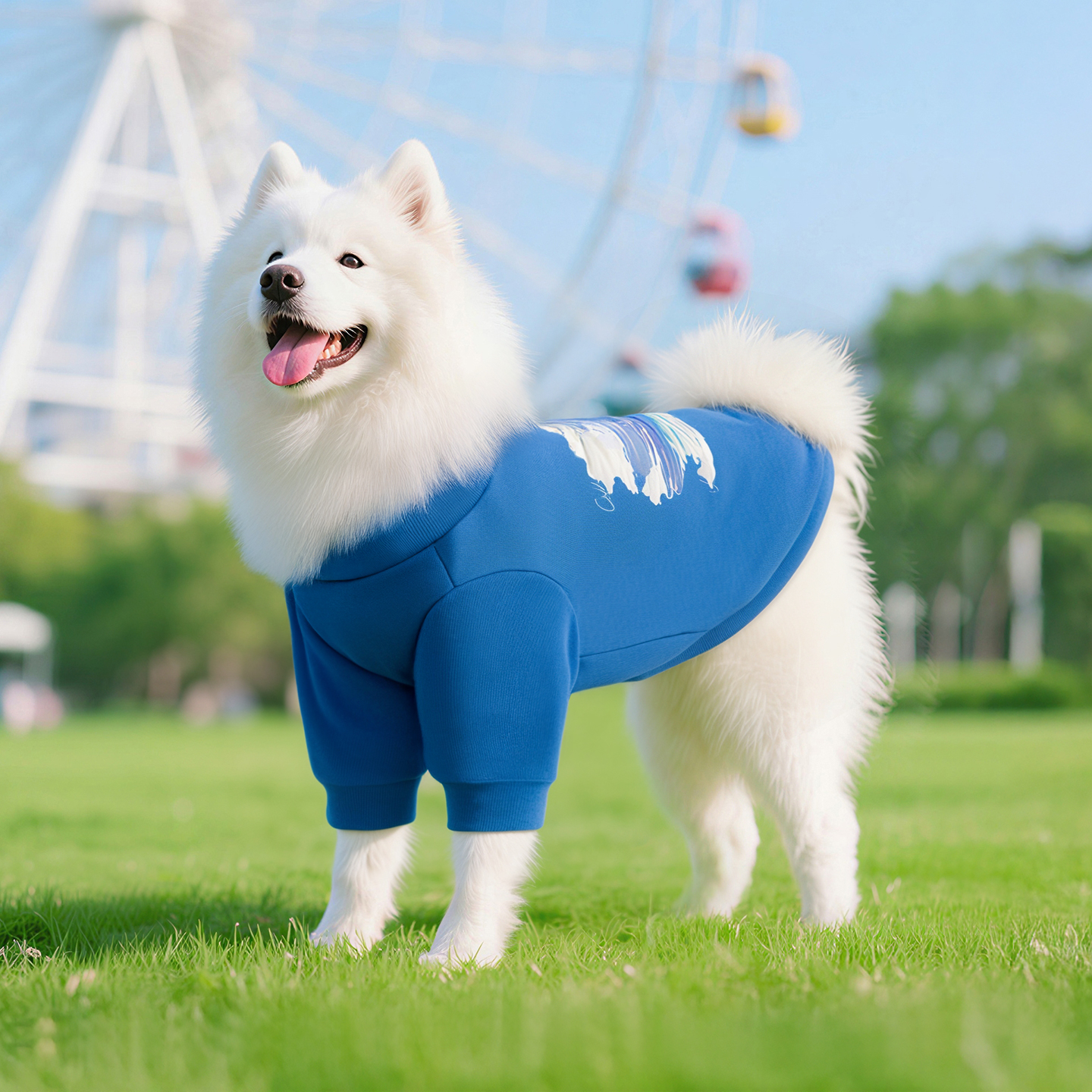 狗狗秋冬边牧秋天防掉毛衣服薄款