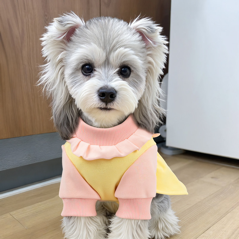 狗狗衣服春秋款小型犬宠物可牵引公主裙比熊泰迪雪纳瑞秋冬季卫衣
