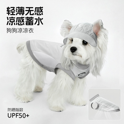 宠物狗狗衣服小型犬雪纳瑞泰迪