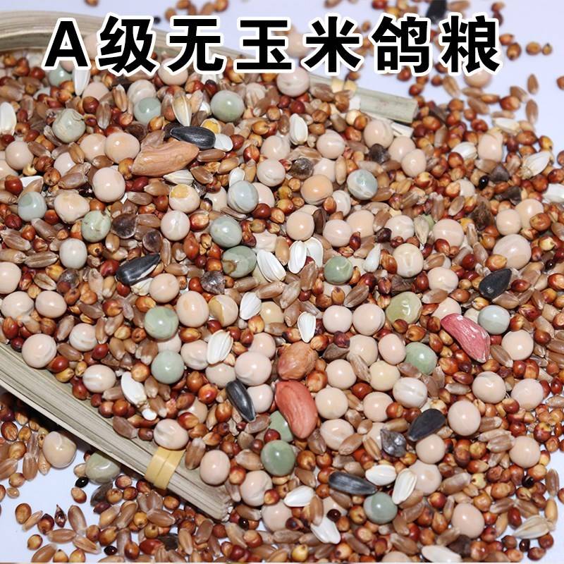 鸽粮大全幼鸽鸽粮营养鸽粮5斤20斤10斤信鸽营养鸽子食粮饲料通用