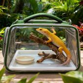 蜥蜴外带包便携手提斜跨式 仓鼠鹦鹉蝴蝶透明透气爬虫蛇爬宠外出包