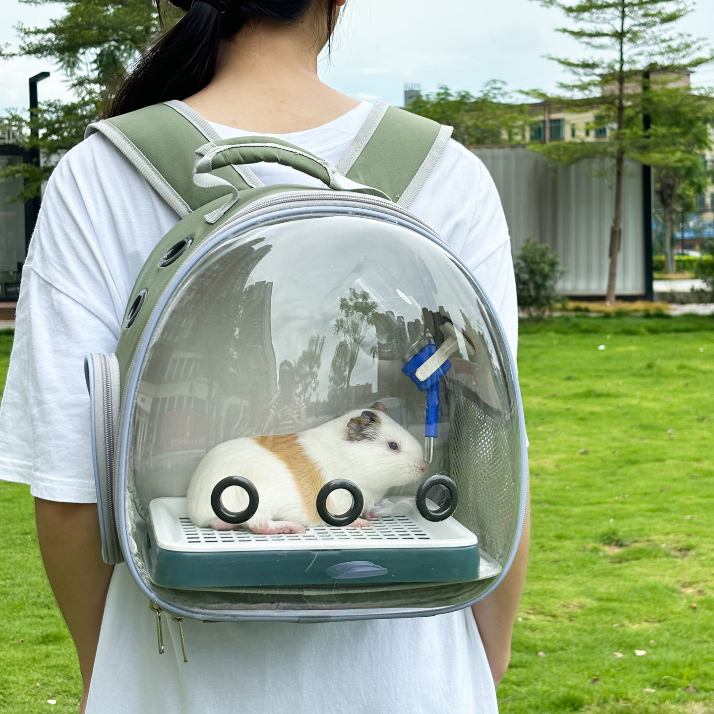 仓鼠外出包便携外带侏儒兔龙猫荷兰猪松鼠花枝鼠宠物外带双肩背包,宠物/宠物食品及用品,笼子,淘宝优惠券,粉丝福利购,淘宝优惠卷
