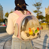 鹦鹉外出包鸟包装 玄凤牡丹虎皮和尚宠物背包双肩仓鼠透明保暖鸟笼