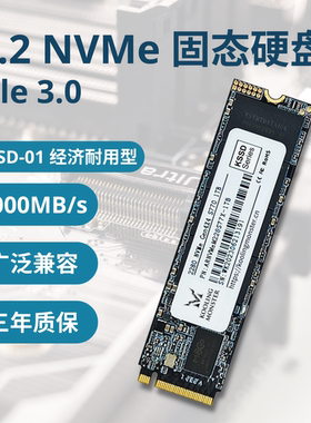 酷寒怪兽KSSD-01 笔记本电脑固态硬盘 游戏SSD M.2 NVMe PCIe3.0