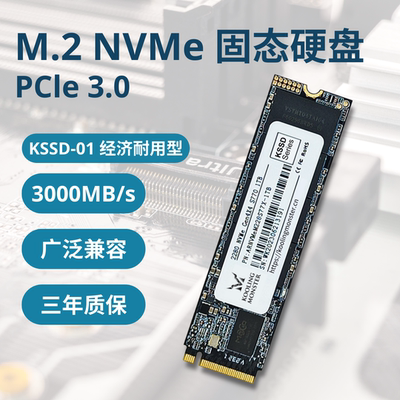 酷寒怪兽KSSD-01 笔记本电脑固态硬盘 游戏SSD M.2 NVMe PCIe3.0