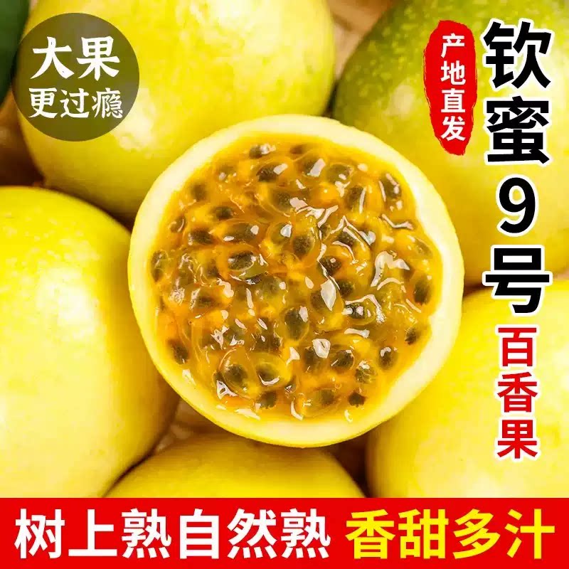 广西钦蜜9号黄金百香果大果纯甜