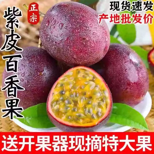 广西紫皮百香果当季新鲜大果包邮