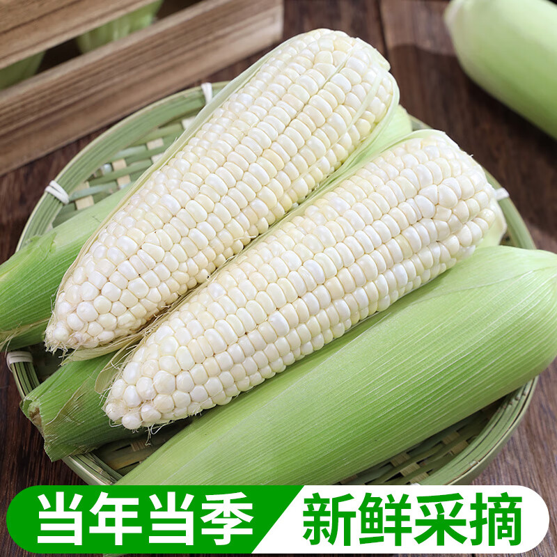 广西白糯玉米9斤新鲜现摘香甜嫩带皮苞谷玉米大棒子非转基因2026