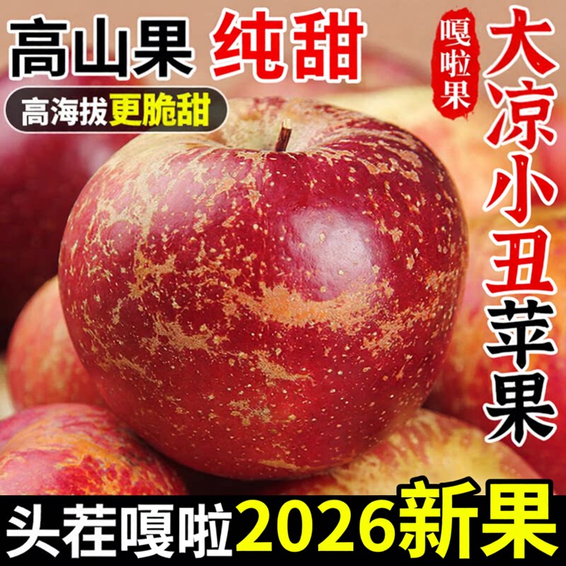 正宗四川盐源大凉山小嘎啦丑苹果当季整箱新鲜水果2026现摘脆甜苹