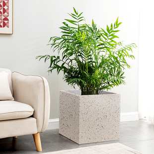 正方形真石漆镁泥花盆水泥花盆特大龟背竹向日葵欧式简约阳台花园